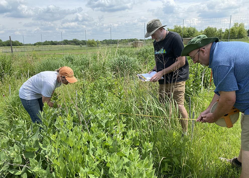 Three teachers look closely at prairie plants