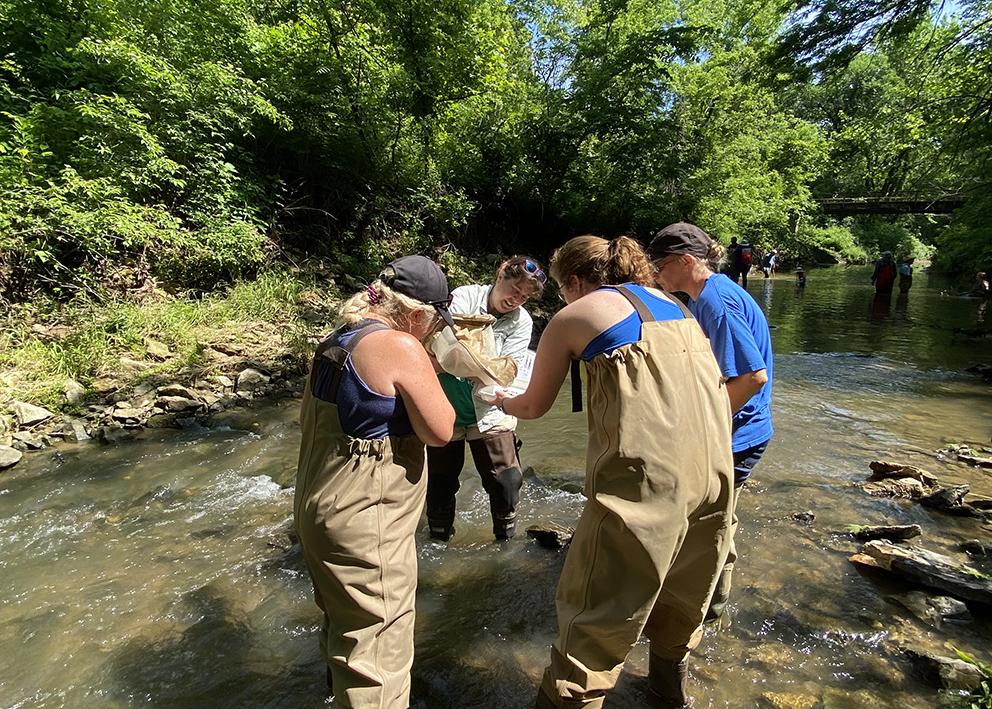 Four teachers collect water sample from stream