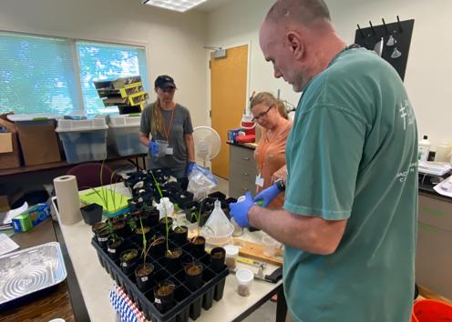 Three teachers conduct plant experiment